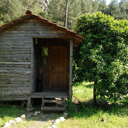 Deep Green Bungalows * Olympos