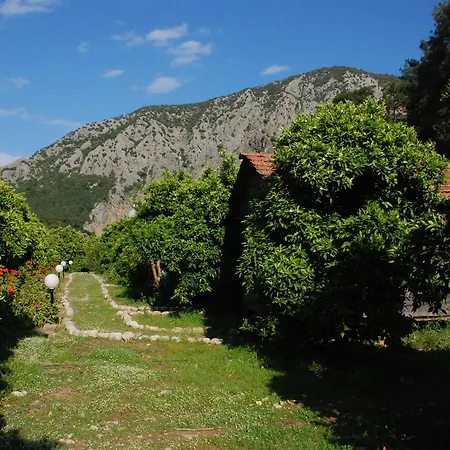 Deep Green Bungalows Guest house Olympos