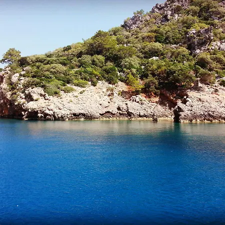 Deep Green Bungalows Guest house Olympos
