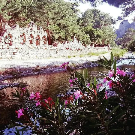 Guest house Deep Green Bungalows Olympos