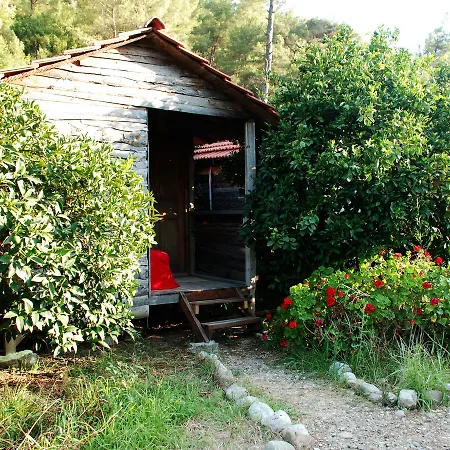 Deep Green Bungalows * Olympos