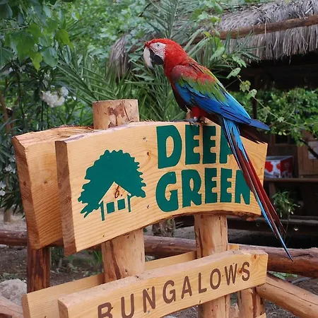 ゲストハウス Deep Green Bungalows